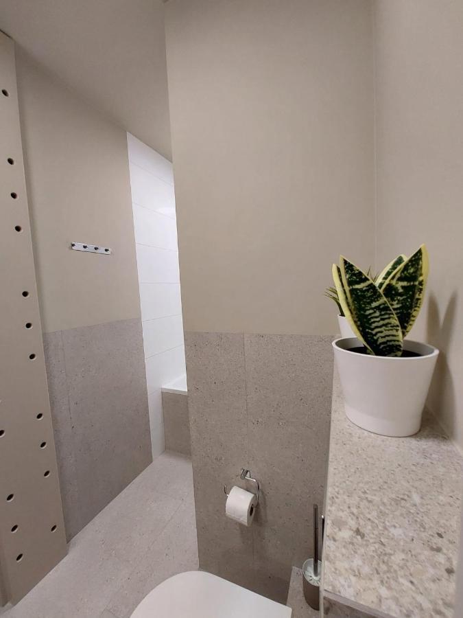 קרקוב Spacious Two-Bedroom Apartment In The City Center מראה חיצוני תמונה